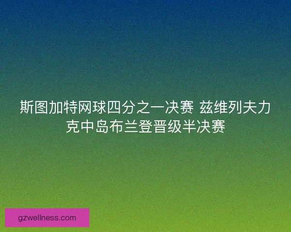 斯图加特网球四分之一决赛 兹维列夫力克中岛布兰登晋级半决赛
